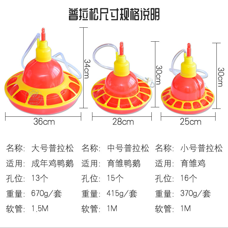 鏅媺鏉続璇︽儏欏?2).jpg